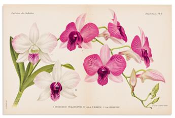 (ORCHIDS.) Cogniaux, Alfred; and Alphonse Goossens. Dictionnaire Iconographique des Orchidées.